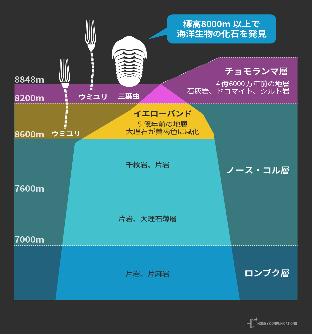 8000m峰14座 国別エベレスト登頂者数